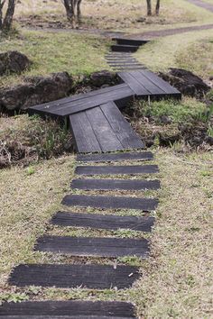 a wooden path in the middle of a grassy field