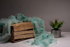 an old wooden box with green netting on it next to a potted plant