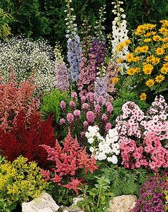 many different types of flowers in a garden