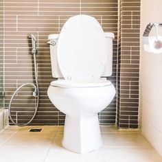 a white toilet sitting inside of a bathroom next to a shower head and hand rail