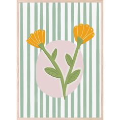 two orange flowers are in front of a striped background with green and white stripes on the wall