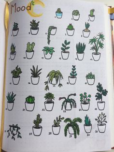 an open notebook with various house plants on it