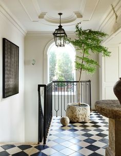 a black and white checkered floor with a potted tree in the corner next to it