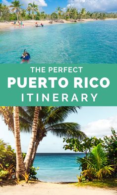 the perfect puerto rico itinerary with palm trees and blue water in the background