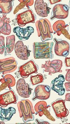 an illustration of the human body and organs