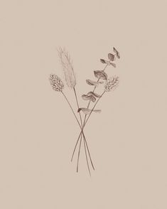 three flowers are shown in black and white on a beige background with the words, i love