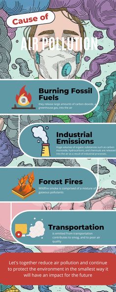 an info poster showing the different types of air pollution and how they can help with it