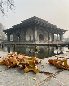 leaves are on the ground in front of a building with water and trees around it