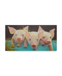 three little pigs hanging on a wall