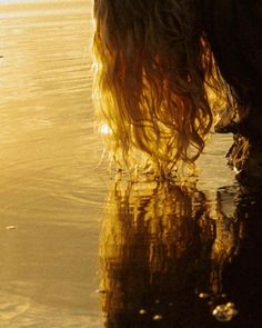 the back end of a person's legs in shallow water at sunset or sunrise