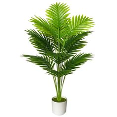 a potted plant with green leaves on a white base, in front of a white background