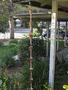 an outdoor garden with plants and flowers in it