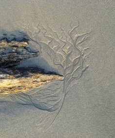 the sand is covered with small waves and tree branches on it's side, as seen from above