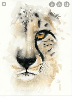 a watercolor painting of a cheetah's face with an orange eye