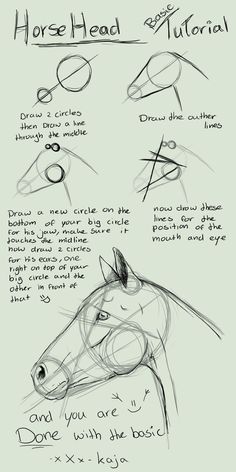 how to draw a horse's head