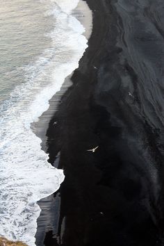 black sand beach with waves coming in and birds flying around