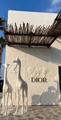 Nammos Dubai, Dior Beach, Clinic Aesthetic, Dior Cafe, Bow Wallpaper Iphone, Bow Wallpaper, Design Restaurant, 2000s Aesthetic, Plaster Art