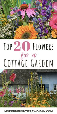 the top 20 flowers for a cottage garden