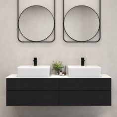 two sinks with mirrors on the wall above them and a plant in front of them