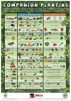 a poster showing the different types of plants