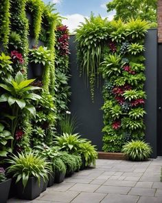 an outdoor garden with lots of plants growing on the wall