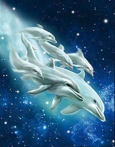 Ondas. Resonancia interior Dolphin Family, Picture Poster, Animal Poster, Poster Painting, 3d Pictures, Graffiti Murals, Painting Home, Animal Posters