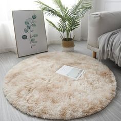 a living room with a round rug and potted plant on the floor next to it