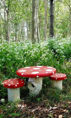 two red mushrooms sitting on top of a tree stump in the middle of a forest