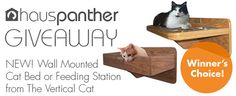 a cat sitting on top of a wooden box with the caption, winner's choice