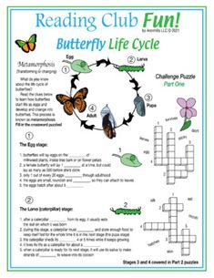 the butterfly life cycle worksheet is shown with butterflies and other things in it