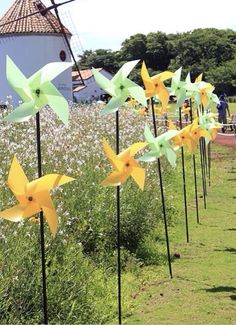 several yellow and green pinwheels are lined up in the grass next to each other