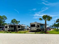 an rv park with several recreational vehicles and palm trees