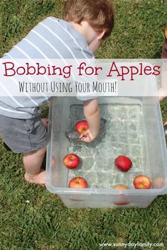 a young boy is playing with apples in an ice chest on the grass and text overlay reads, bobbing for apples without using your mouth