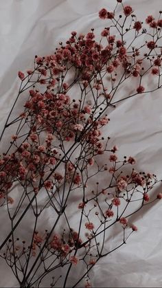 some pink flowers are on a white sheet