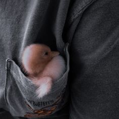 a person holding a small bird in their pocket