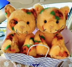 two teddy bears sitting in the back seat of a car