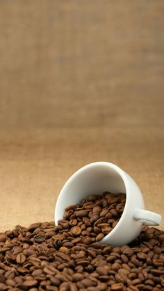 coffee beans spilling out of a white cup on top of a pile of brown ground