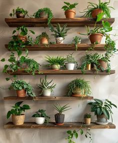 Design My Room, Store Hacks, Dollar Store Hacks, Bedroom Plants, Apartment Decor Inspiration, Room Makeover Bedroom, Beautiful Places Nature, House Inspo