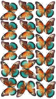 a bunch of butterflies flying in the air with their wings spread out and facing different directions