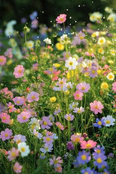 many different colored flowers in the grass