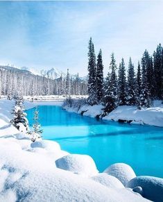 a blue lake surrounded by snow covered trees