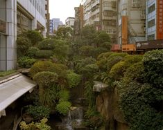 a small waterfall in the middle of a city with tall buildings and trees on both sides