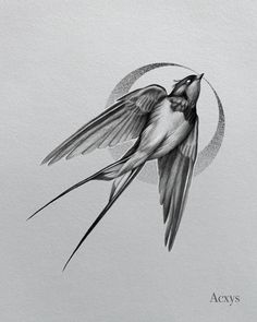 a black and white drawing of a bird flying in the air with its wings spread