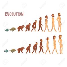 the evolution of man and woman in different stages of life, including an individual being able to