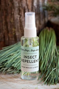 a bottle of insect repellent sitting on top of a wooden table next to pine needles