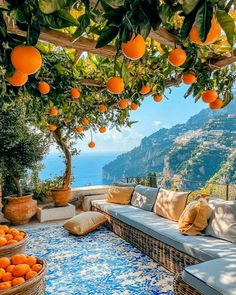 an outdoor patio with oranges on the trees