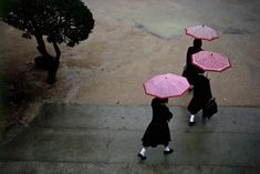 two women walking down the street with umbrellas