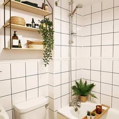 a white tiled bathroom with shelves above the bathtub and plants in baskets on the wall