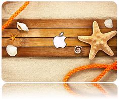 an apple logo and starfish on a wooden plank