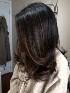 Hair Colour For Highlights, Hair Colouring Ideas For Black Hair, Brown Colour Hair Highlights, Best Hair Colour For Black Hair, Brown Black Hair Ideas, Natural Black Hair Color With Highlights, Brunette Colour Ideas, Dark Hair Colour Ideas Highlights, Caramel Highlights On Black Hair Short